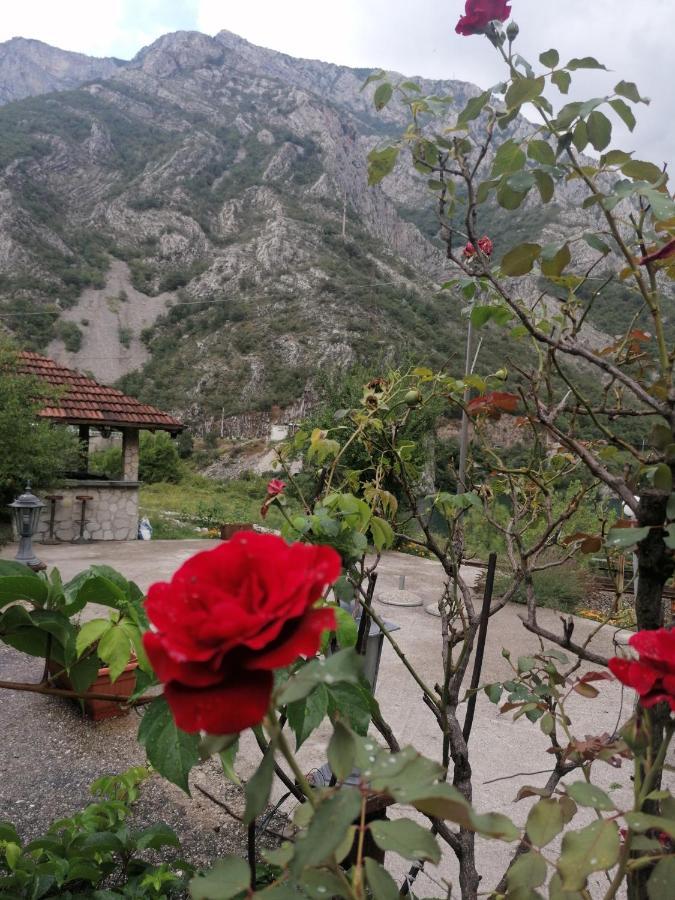 Visit Dreznica Villa Mostar Eksteriør bilde